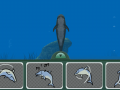 DolphinDreams02.png