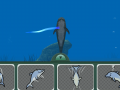 DolphinDreams03.png
